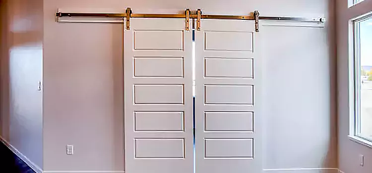 Glass Barn Door with Installation Hardware Kit Durham
